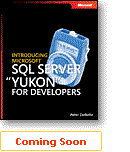 Microsoft SQL Server Yukon for Developers.